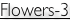 shapeimage_7_link_0