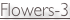 shapeimage_5_link_0